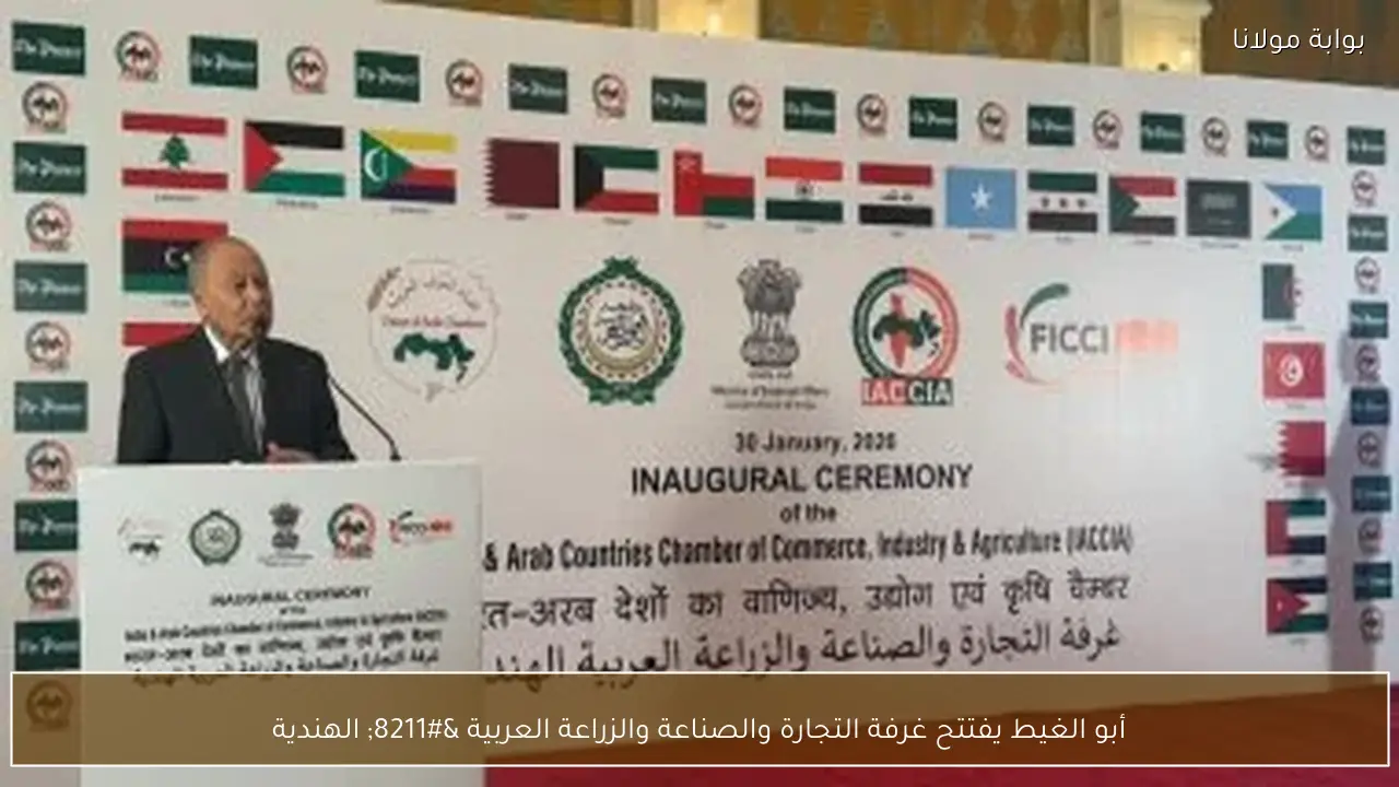 أبو الغيط يفتتح غرفة التجارة والصناعة والزراعة العربية – الهندية