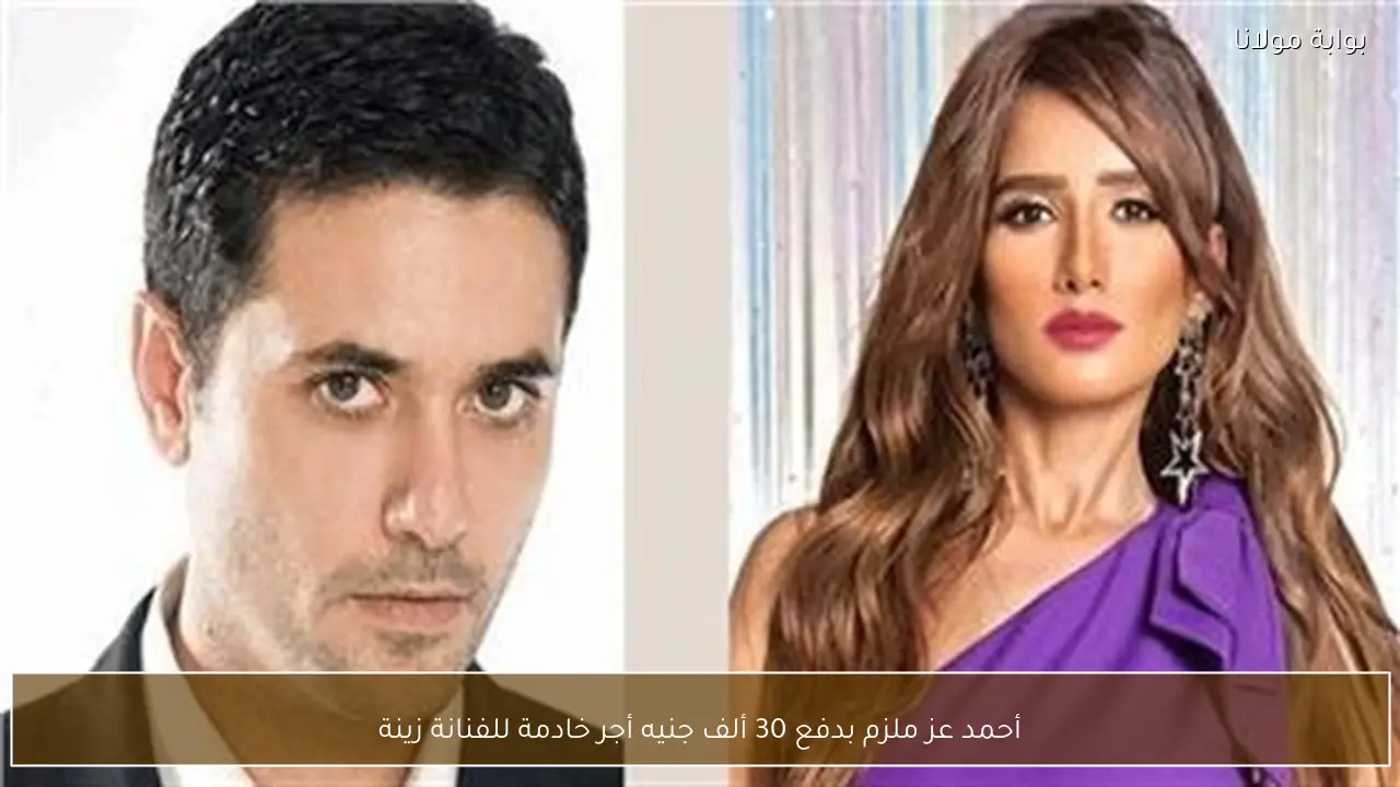 أحمد عز ملزم بدفع 30 ألف جنيه أجر خادمة للفنانة زينة