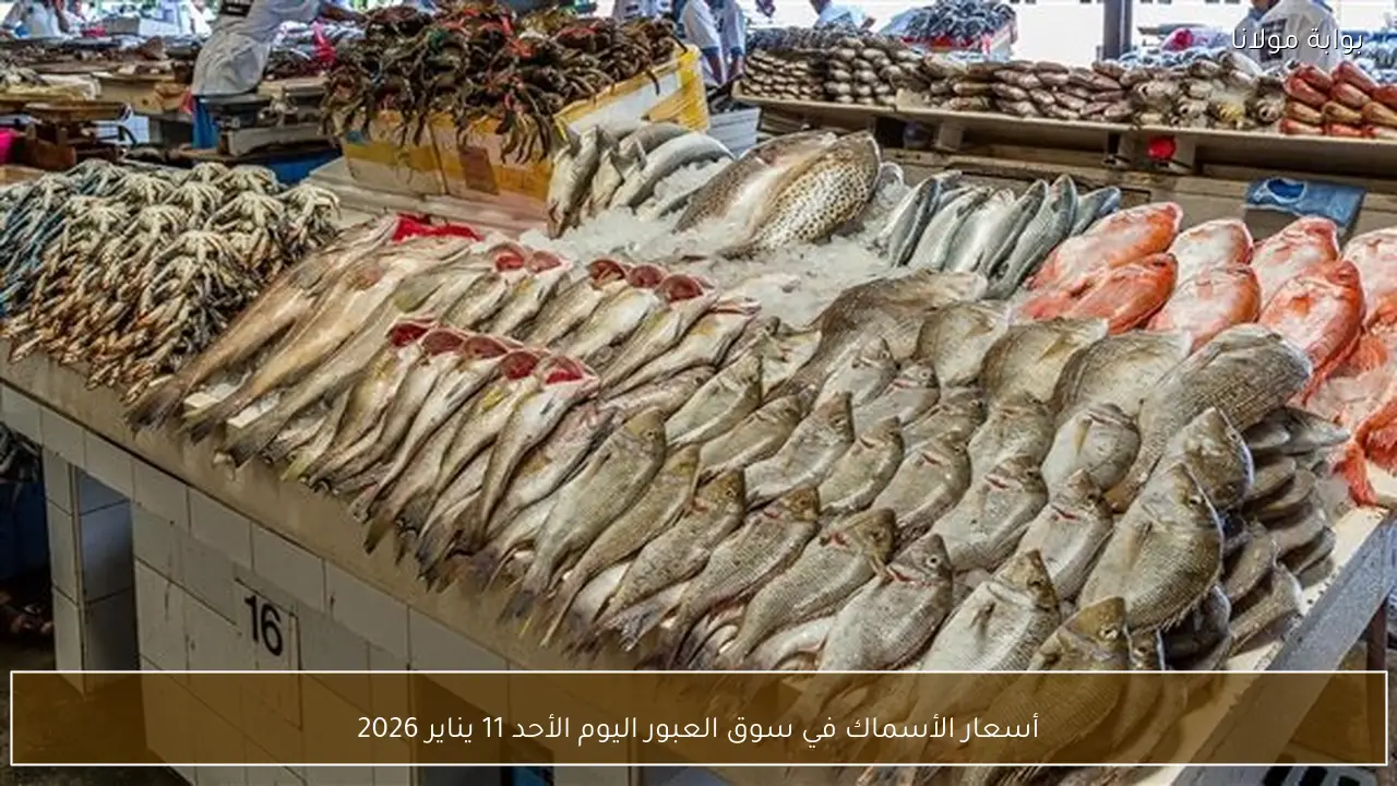 أسعار الأسماك في سوق العبور اليوم الأحد 11 يناير 2026