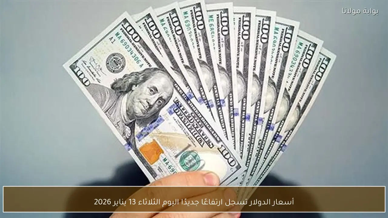 أسعار الدولار تسجل ارتفاعًا جديدًا اليوم الثلاثاء 13 يناير 2026