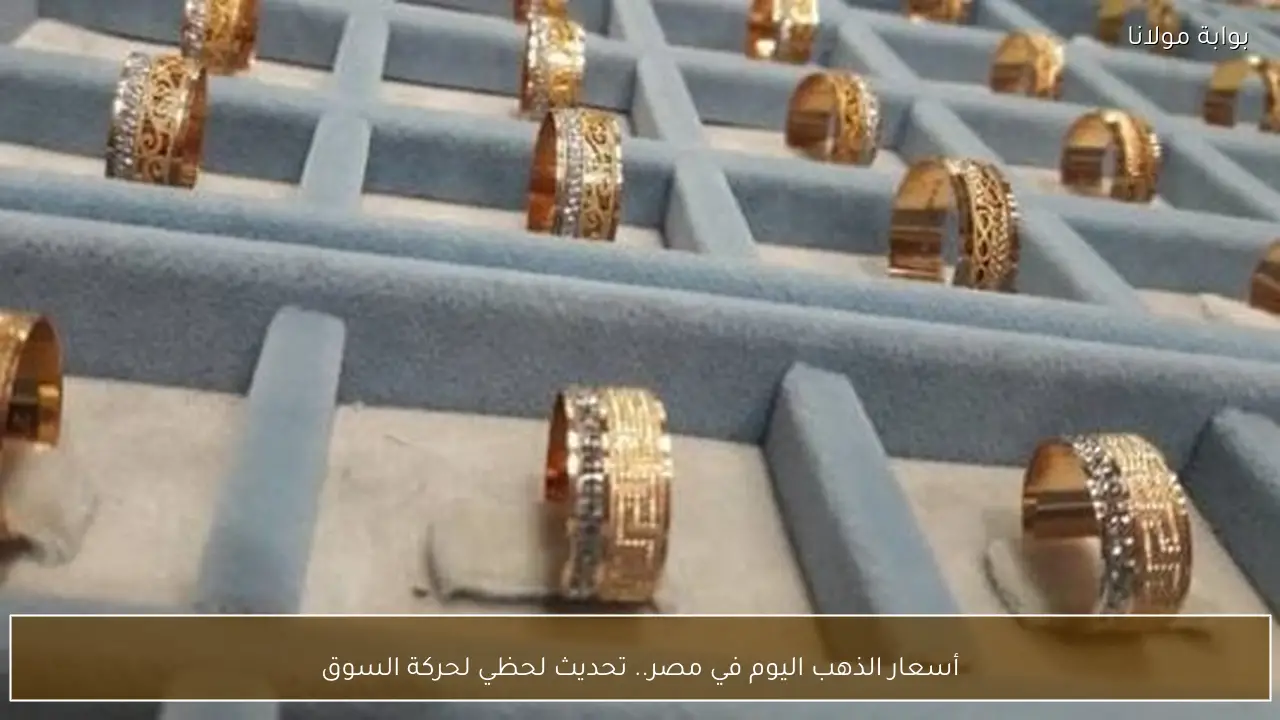 أسعار الذهب اليوم في مصر.. تحديث لحظي لحركة السوق