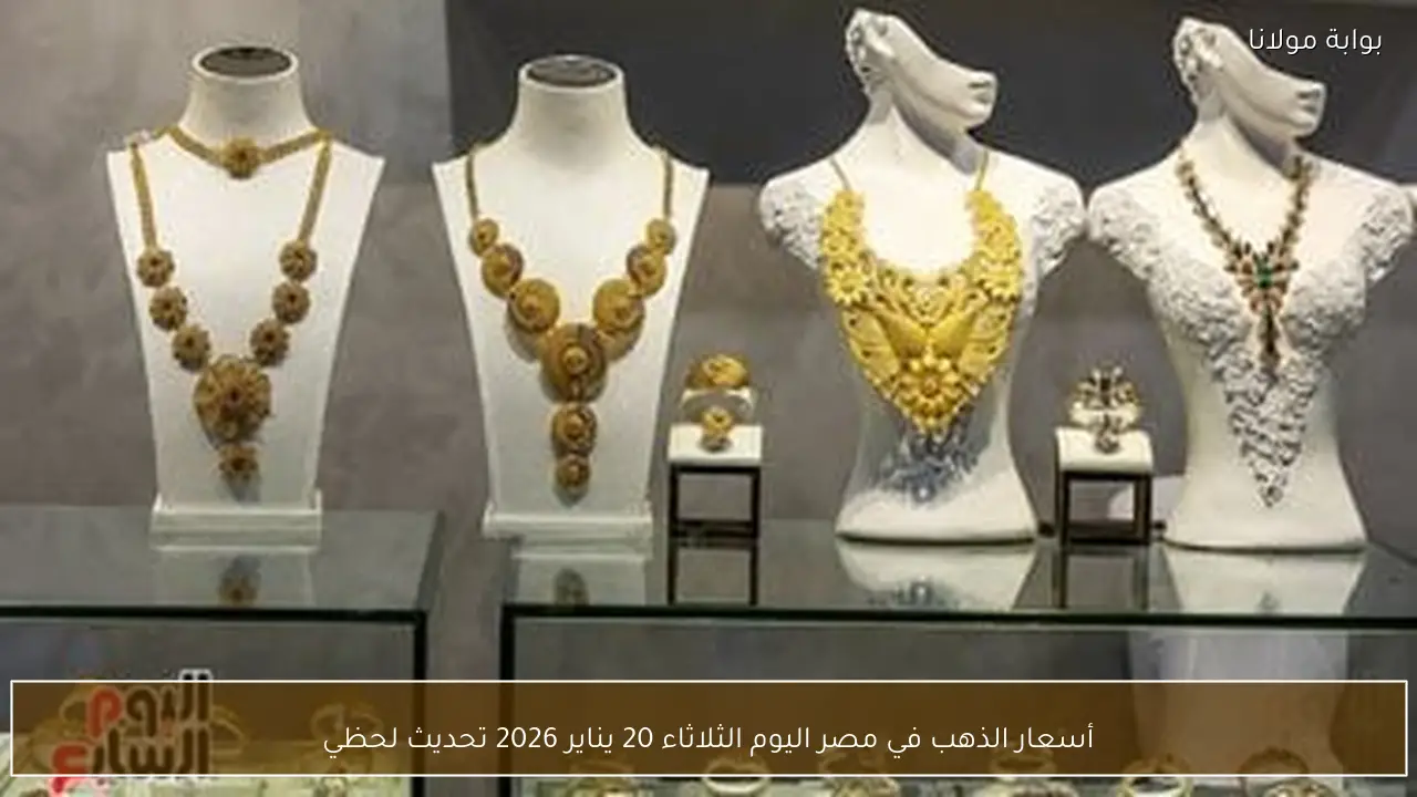 أسعار الذهب في مصر اليوم الثلاثاء 20 يناير 2026 تحديث لحظي