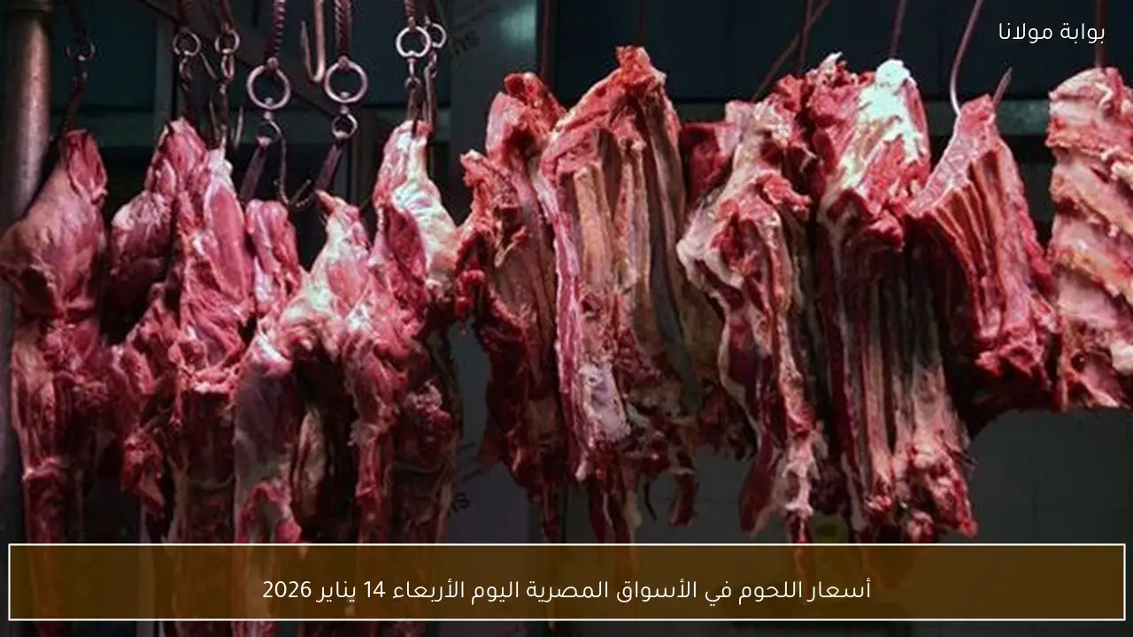 أسعار اللحوم في الأسواق المصرية اليوم الأربعاء 14 يناير 2026