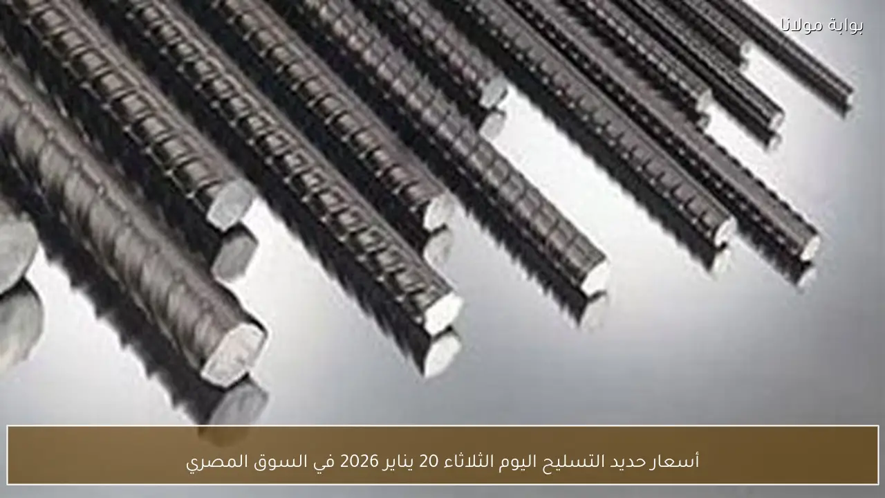 أسعار حديد التسليح اليوم الثلاثاء 20 يناير 2026 في السوق المصري