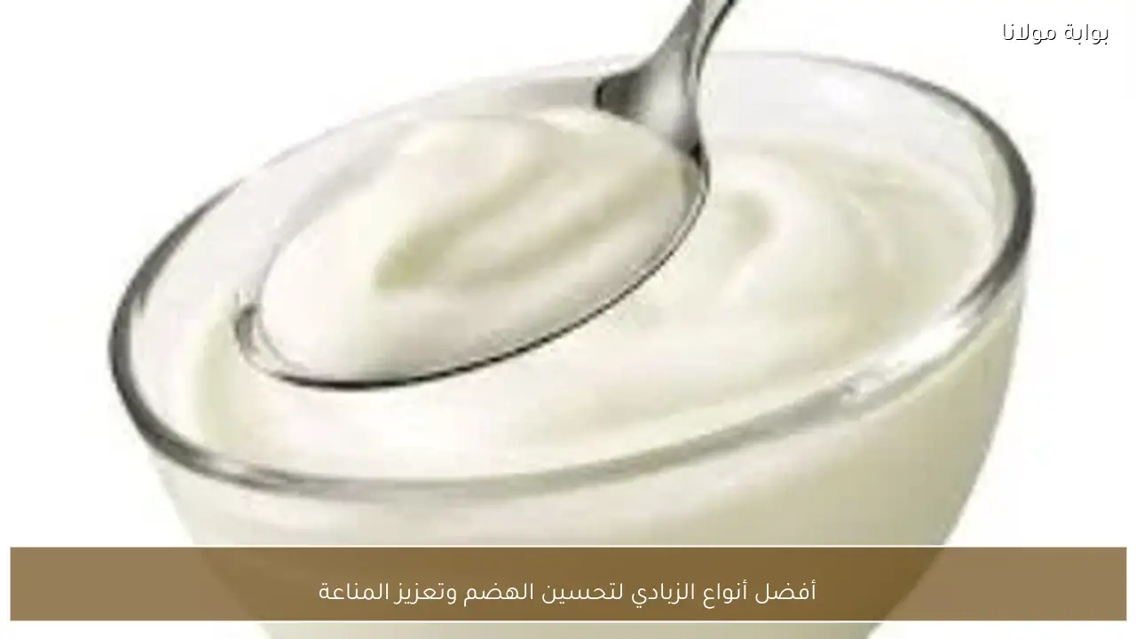 أفضل أنواع الزبادي لتحسين الهضم وتعزيز المناعة