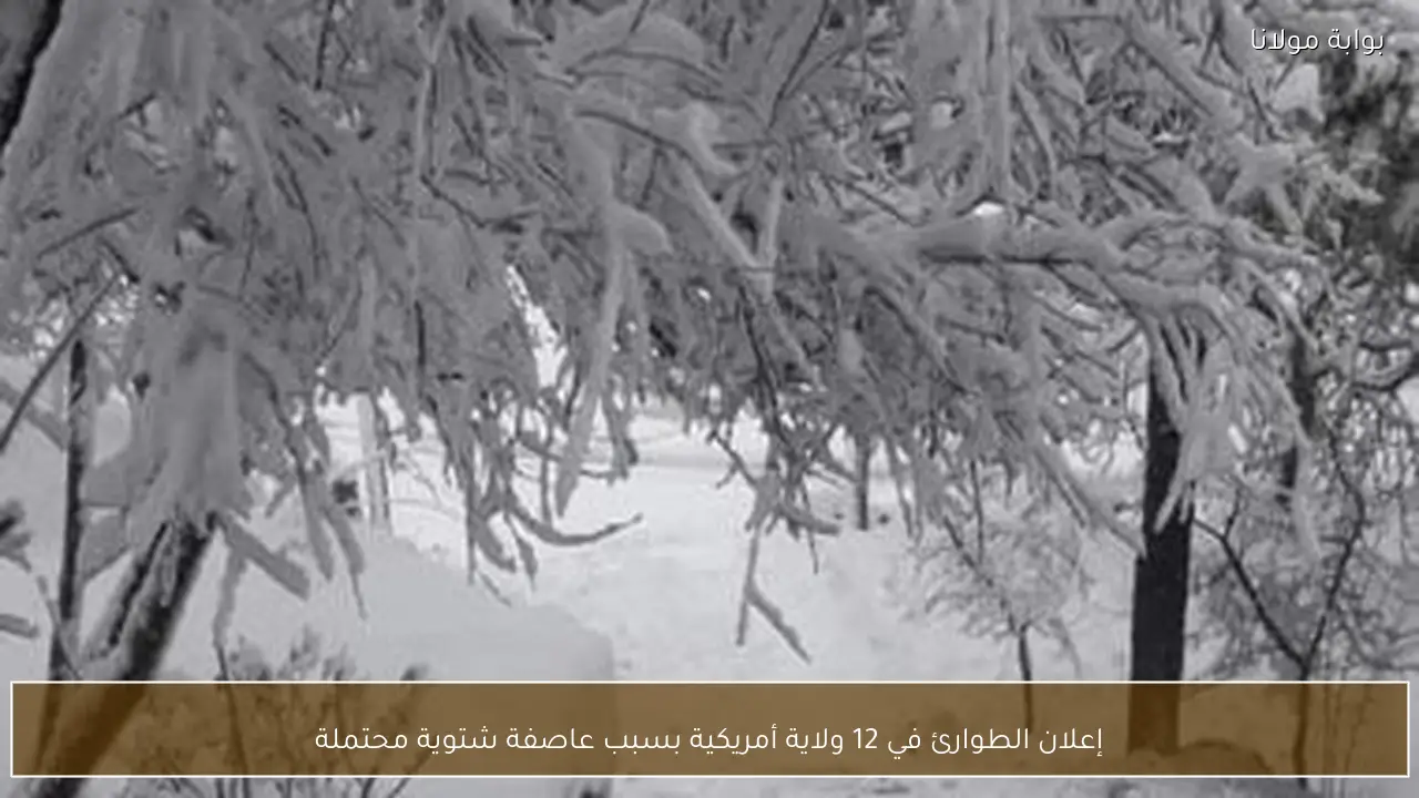 إعلان الطوارئ في 12 ولاية أمريكية بسبب عاصفة شتوية محتملة
