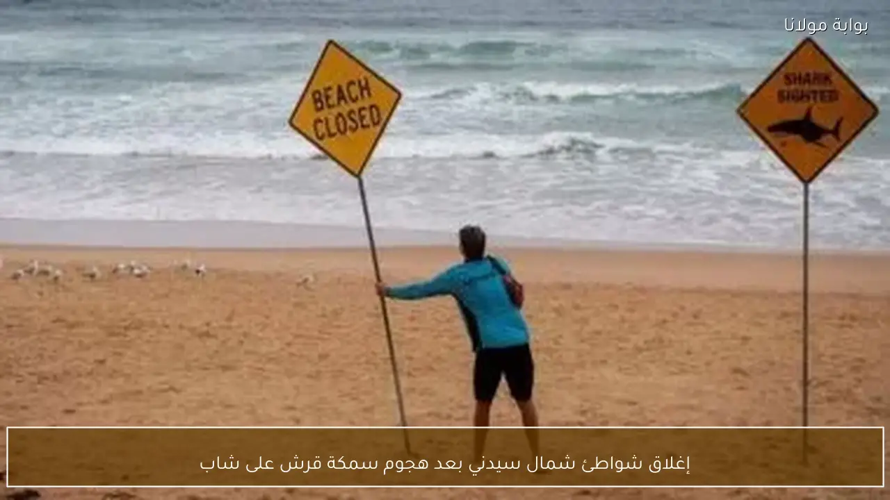 إغلاق شواطئ شمال سيدني بعد هجوم سمكة قرش على شاب