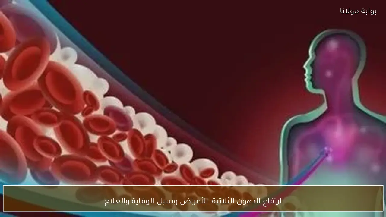 ارتفاع الدهون الثلاثية: الأعراض وسبل الوقاية والعلاج