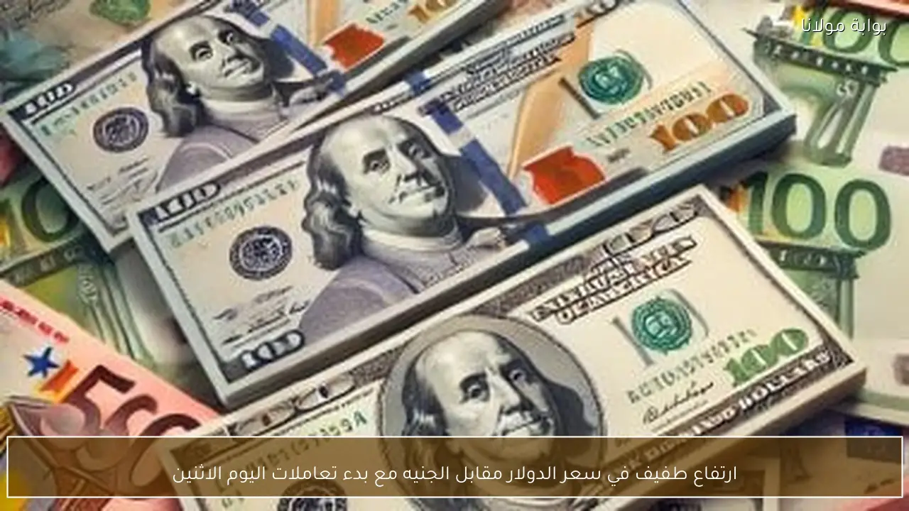ارتفاع طفيف في سعر الدولار مقابل الجنيه مع بدء تعاملات اليوم الاثنين