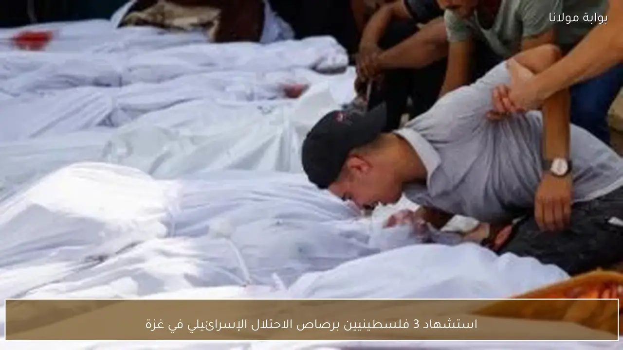 استشهاد 3 فلسطينيين برصاص الاحتلال الإسرائيلي في غزة