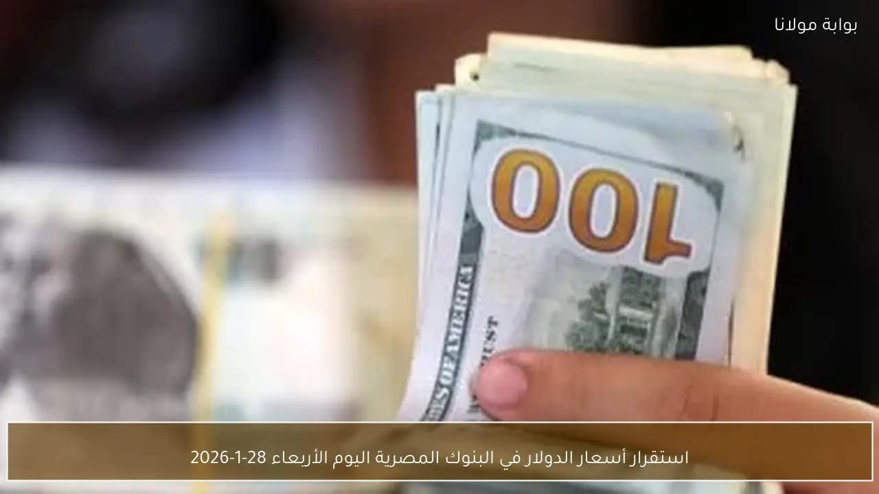 استقرار أسعار الدولار في البنوك المصرية اليوم الأربعاء 28-1-2026