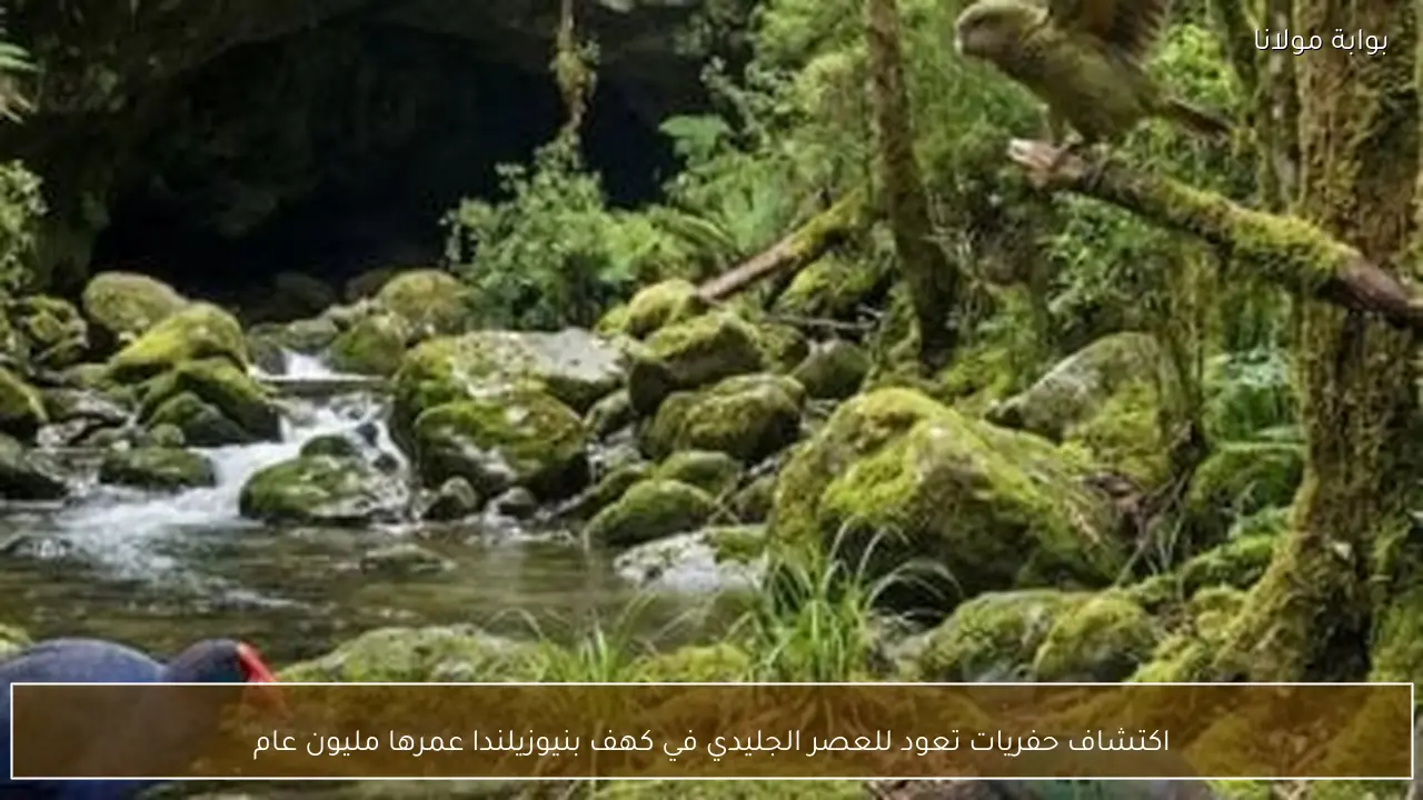اكتشاف حفريات تعود للعصر الجليدي في كهف بنيوزيلندا عمرها مليون عام