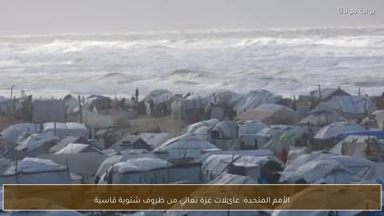 الأمم المتحدة: عائلات غزة تعاني من ظروف شتوية قاسية