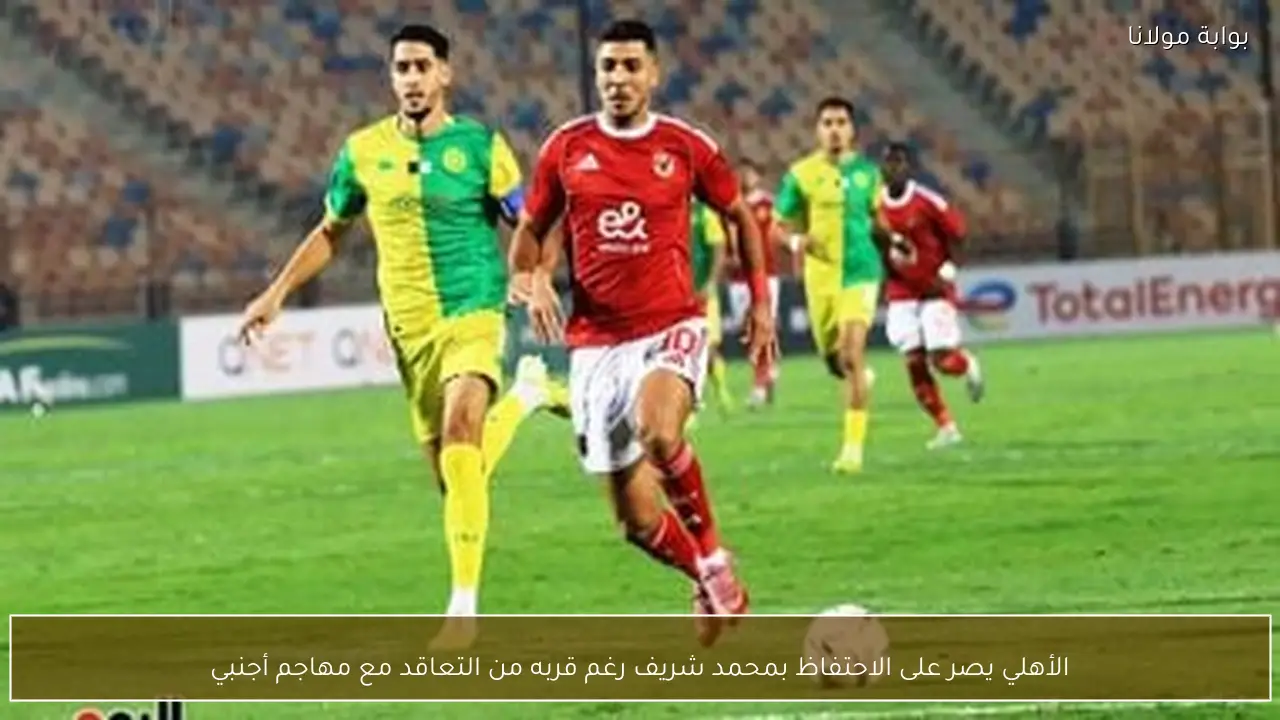 الأهلي يصر على الاحتفاظ بمحمد شريف رغم قربه من التعاقد مع مهاجم أجنبي