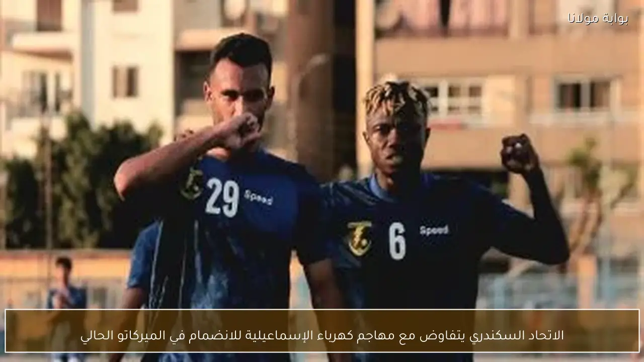 الاتحاد السكندري يتفاوض مع مهاجم كهرباء الإسماعيلية للانضمام في الميركاتو الحالي