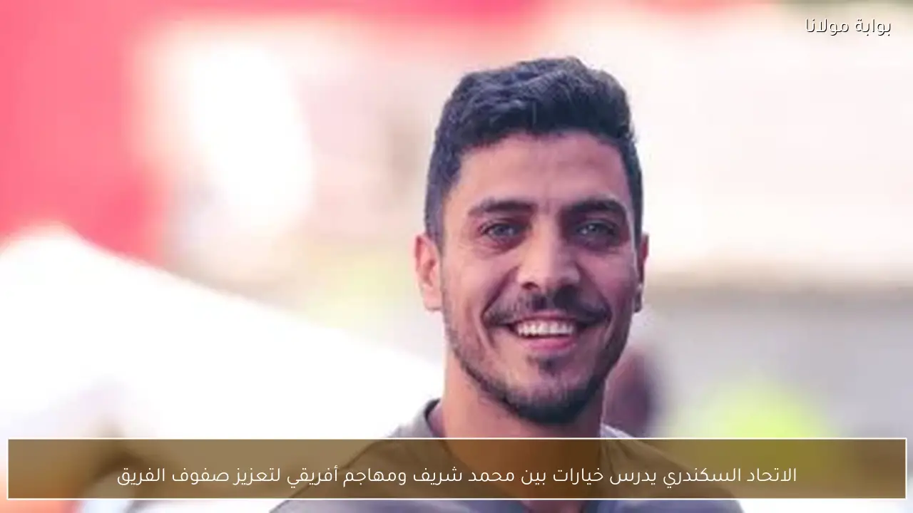الاتحاد السكندري يدرس خيارات بين محمد شريف ومهاجم أفريقي لتعزيز صفوف الفريق
