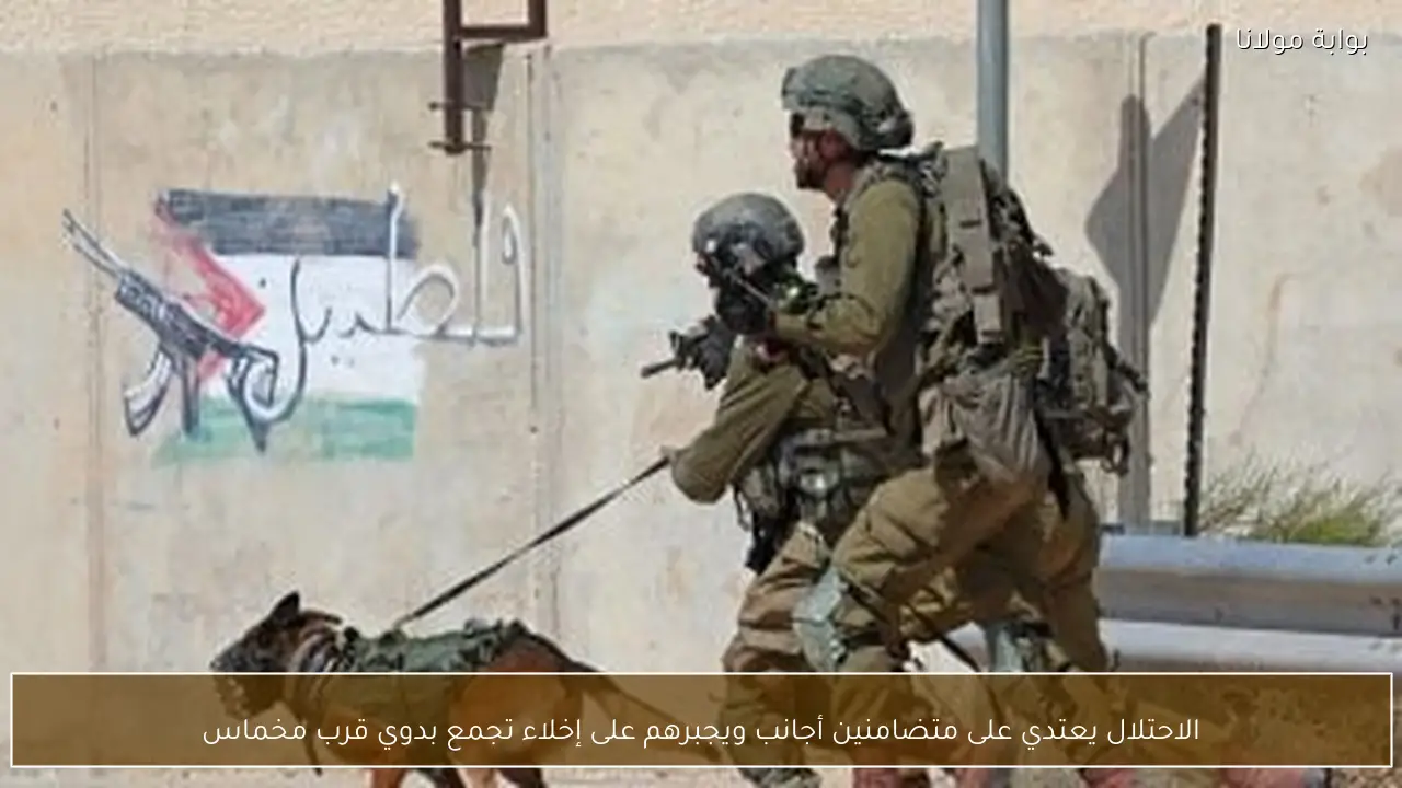 الاحتلال يعتدي على متضامنين أجانب ويجبرهم على إخلاء تجمع بدوي قرب مخماس