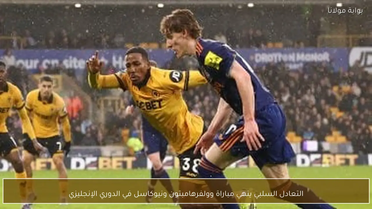 التعادل السلبي ينهي مباراة وولفرهامبتون ونيوكاسل في الدوري الإنجليزي