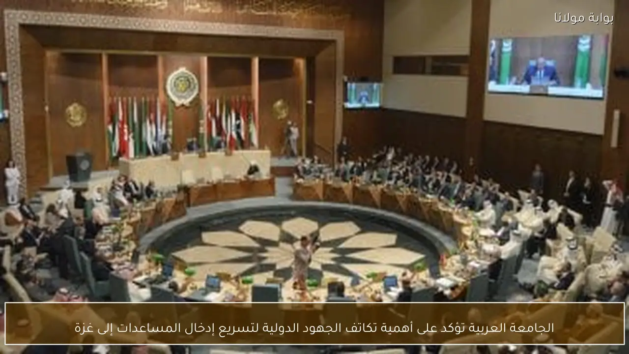 الجامعة العربية تؤكد على أهمية تكاتف الجهود الدولية لتسريع إدخال المساعدات إلى غزة