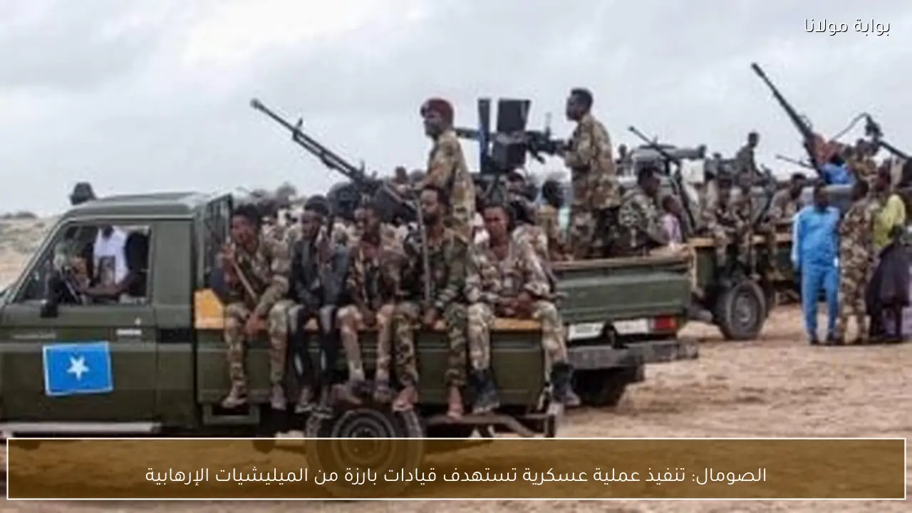 الصومال: تنفيذ عملية عسكرية تستهدف قيادات بارزة من الميليشيات الإرهابية