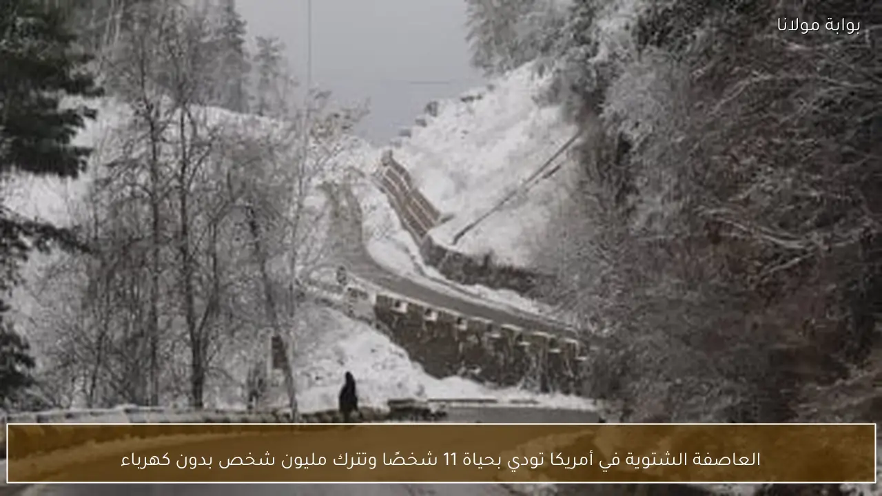 العاصفة الشتوية في أمريكا تودي بحياة 11 شخصًا وتترك مليون شخص بدون كهرباء