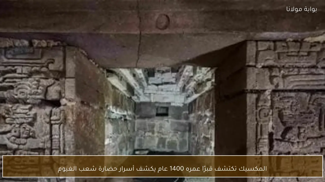 المكسيك تكتشف قبرًا عمره 1400 عام يكشف أسرار حضارة شعب الغيوم