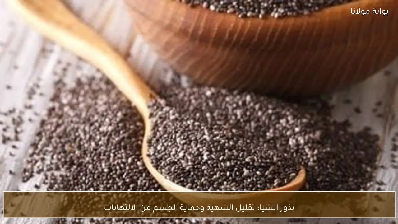 بذور الشيا: تقليل الشهية وحماية الجسم من الالتهابات