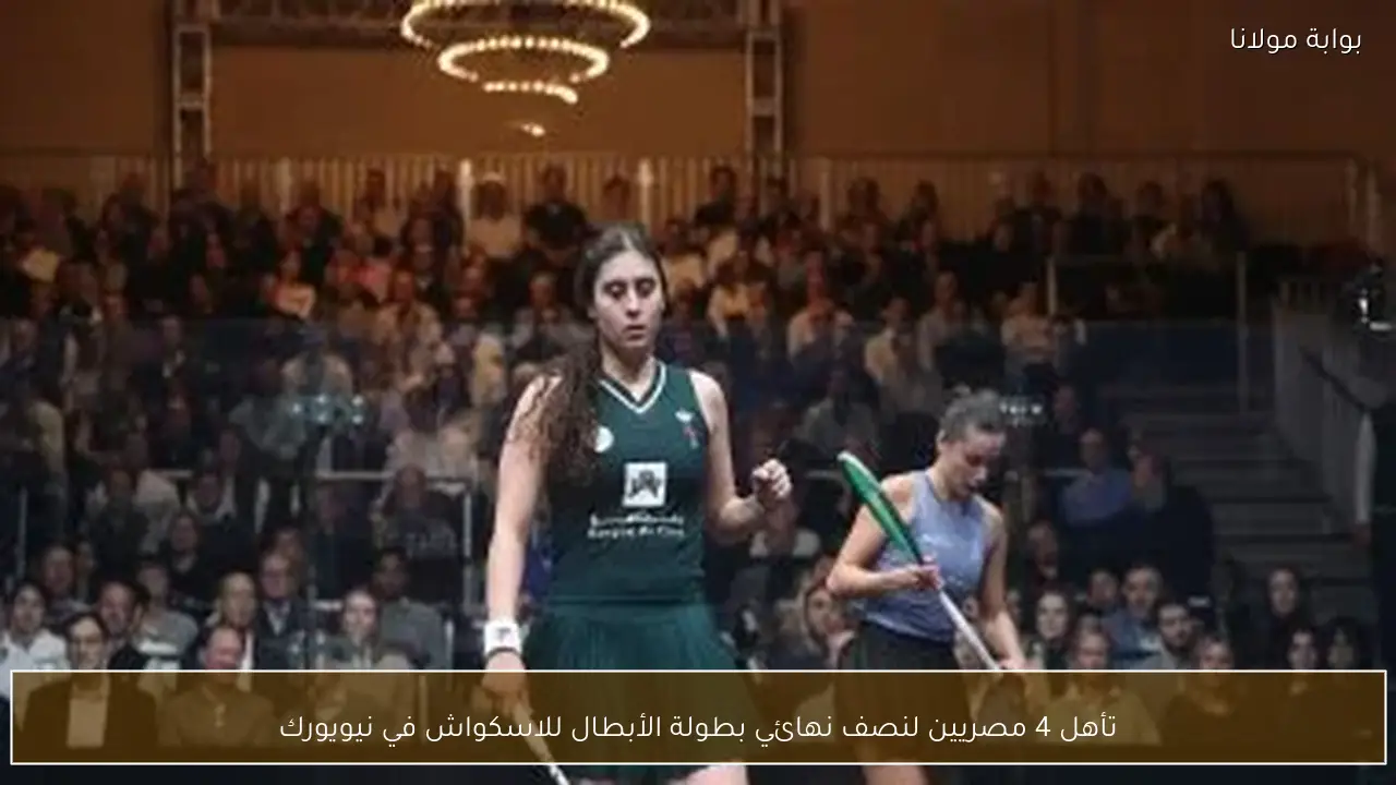 تأهل 4 مصريين لنصف نهائي بطولة الأبطال للاسكواش في نيويورك