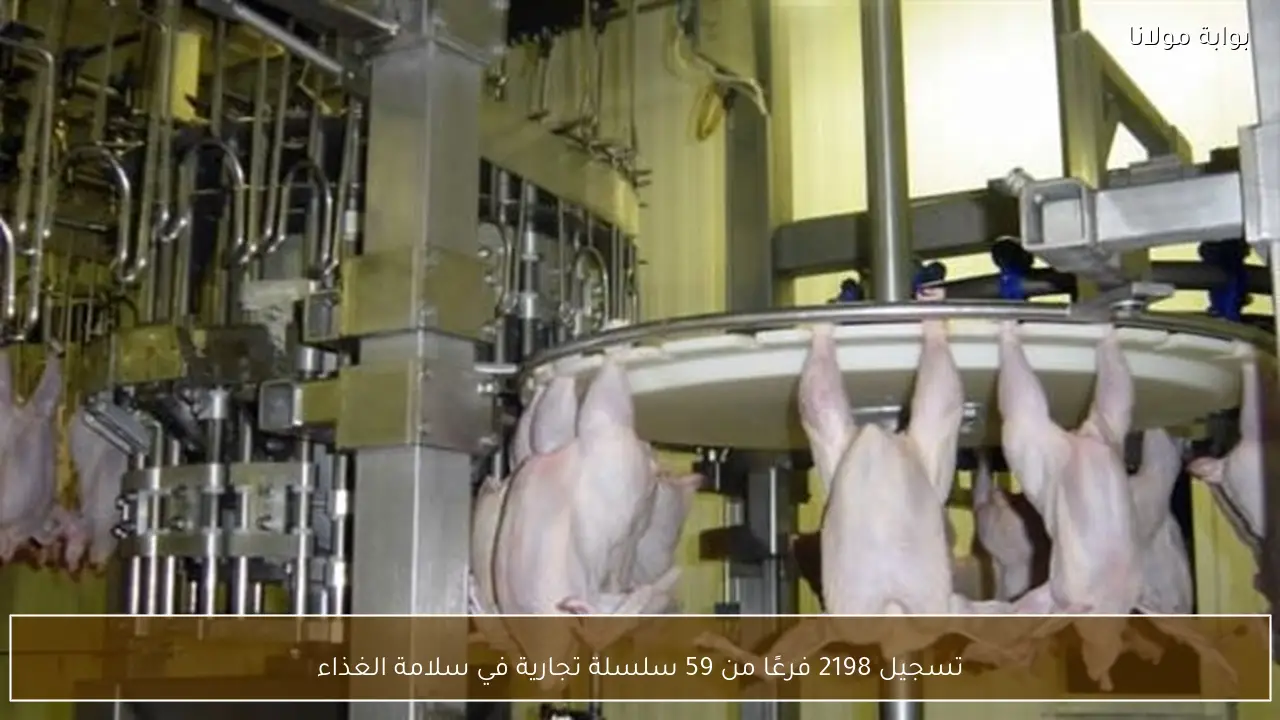 تسجيل 2198 فرعًا من 59 سلسلة تجارية في سلامة الغذاء