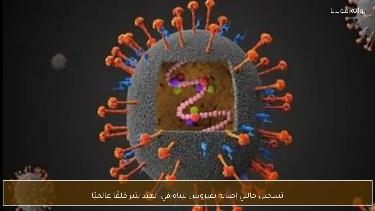 تسجيل حالتي إصابة بفيروس نيباه في الهند يثير قلقًا عالميًا