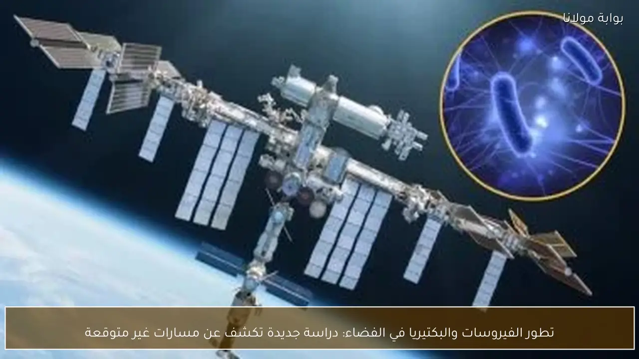 تطور الفيروسات والبكتيريا في الفضاء: دراسة جديدة تكشف عن مسارات غير متوقعة