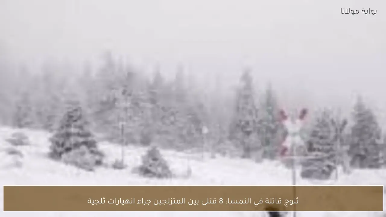 ثلوج قاتلة في النمسا: 8 قتلى بين المتزلجين جراء انهيارات ثلجية