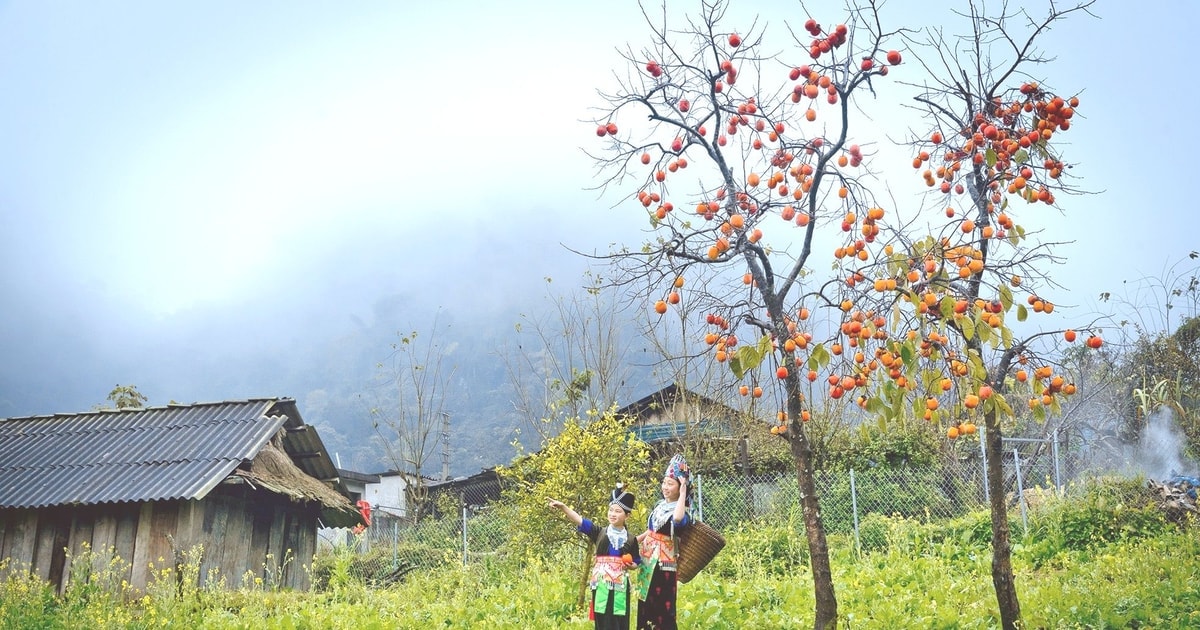 تم التحميل-hoaithubna-2023_01_31-_bna-muong-long-tro-nen-huyen-ao-quyen-ru-trong-mua-dong7266947-1212021-8680.jpeg