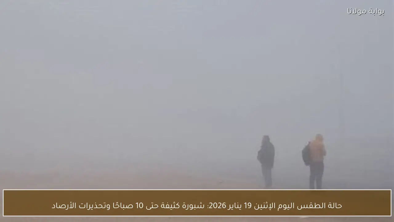 حالة الطقس اليوم الإثنين 19 يناير 2026: شبورة كثيفة حتى 10 صباحًا وتحذيرات الأرصاد