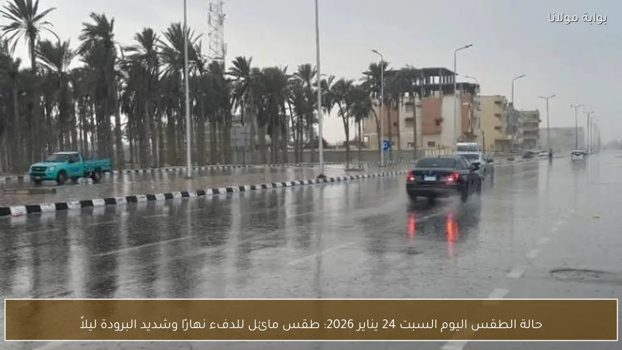 حالة الطقس اليوم السبت 24 يناير 2026: طقس مائل للدفء نهارًا وشديد البرودة ليلاً
