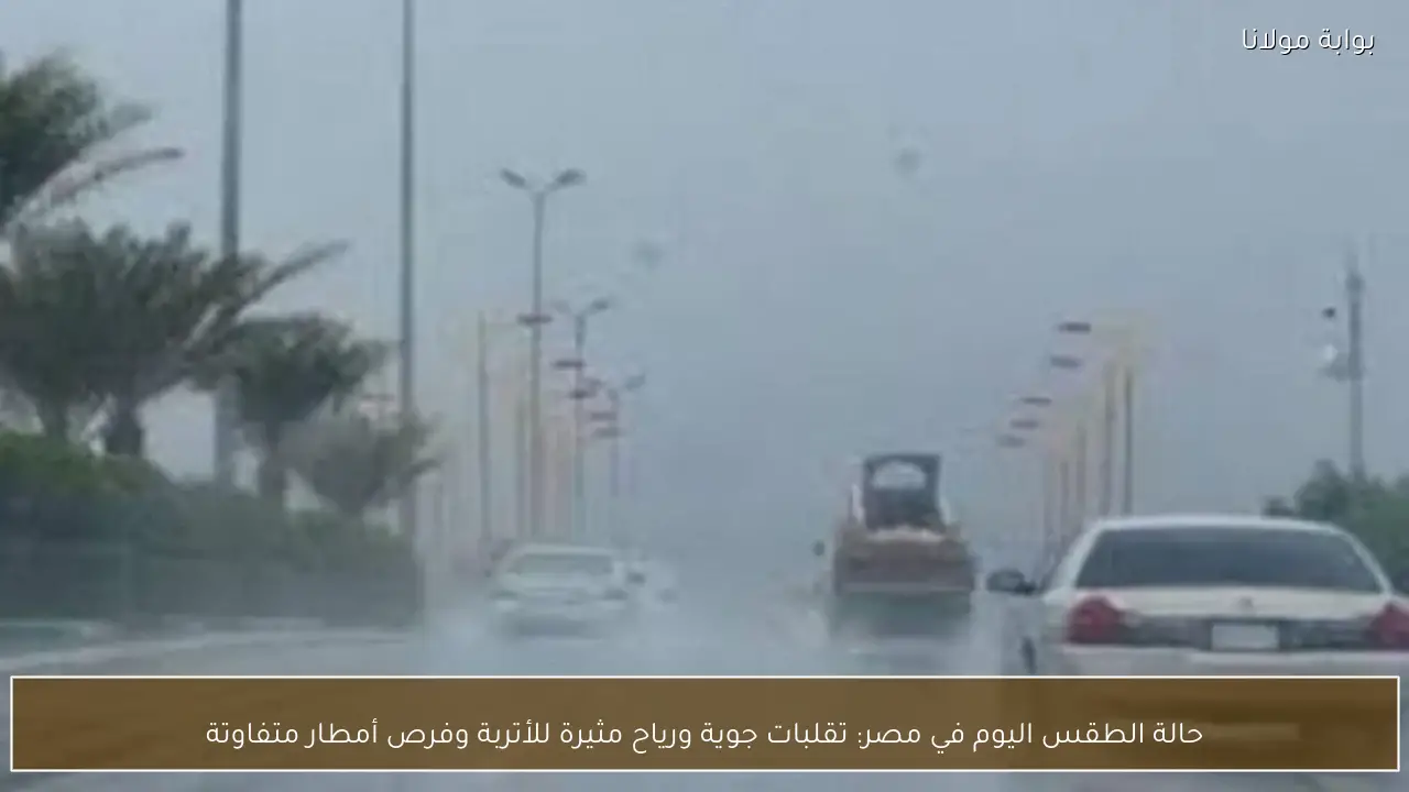 حالة الطقس اليوم في مصر: تقلبات جوية ورياح مثيرة للأتربة وفرص أمطار متفاوتة