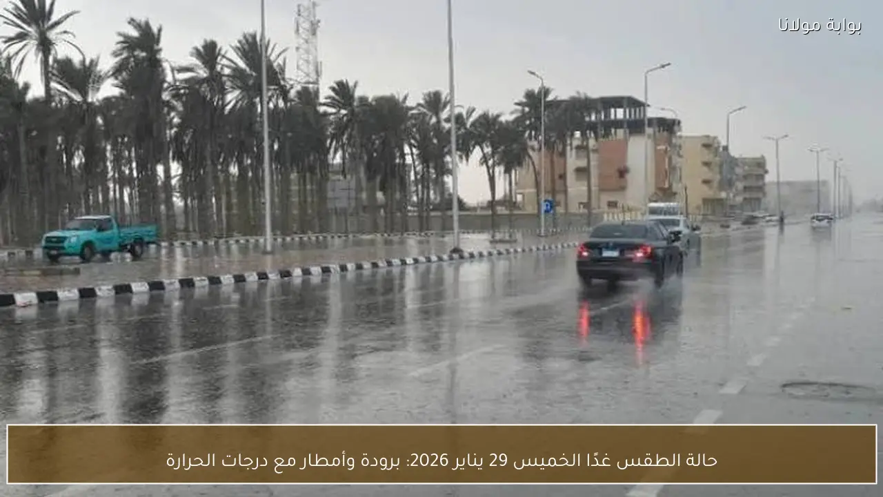 حالة الطقس غدًا الخميس 29 يناير 2026: برودة وأمطار مع درجات الحرارة