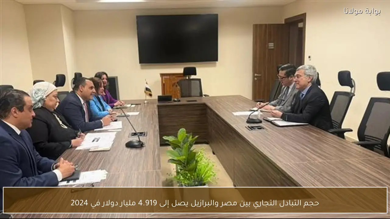 حجم التبادل التجاري بين مصر والبرازيل يصل إلى 4.919 مليار دولار في 2024