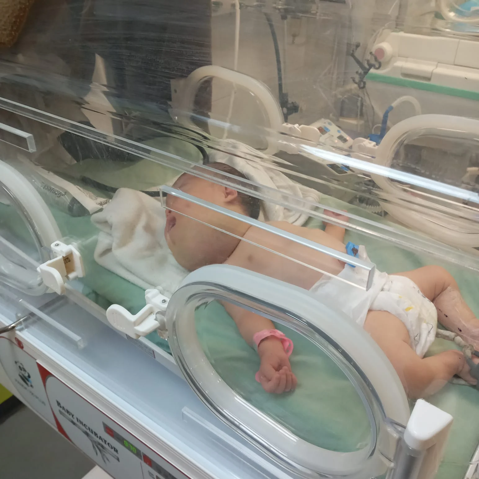 الرضيعة حور العين قشطة الرضيعة حور العين قشطة