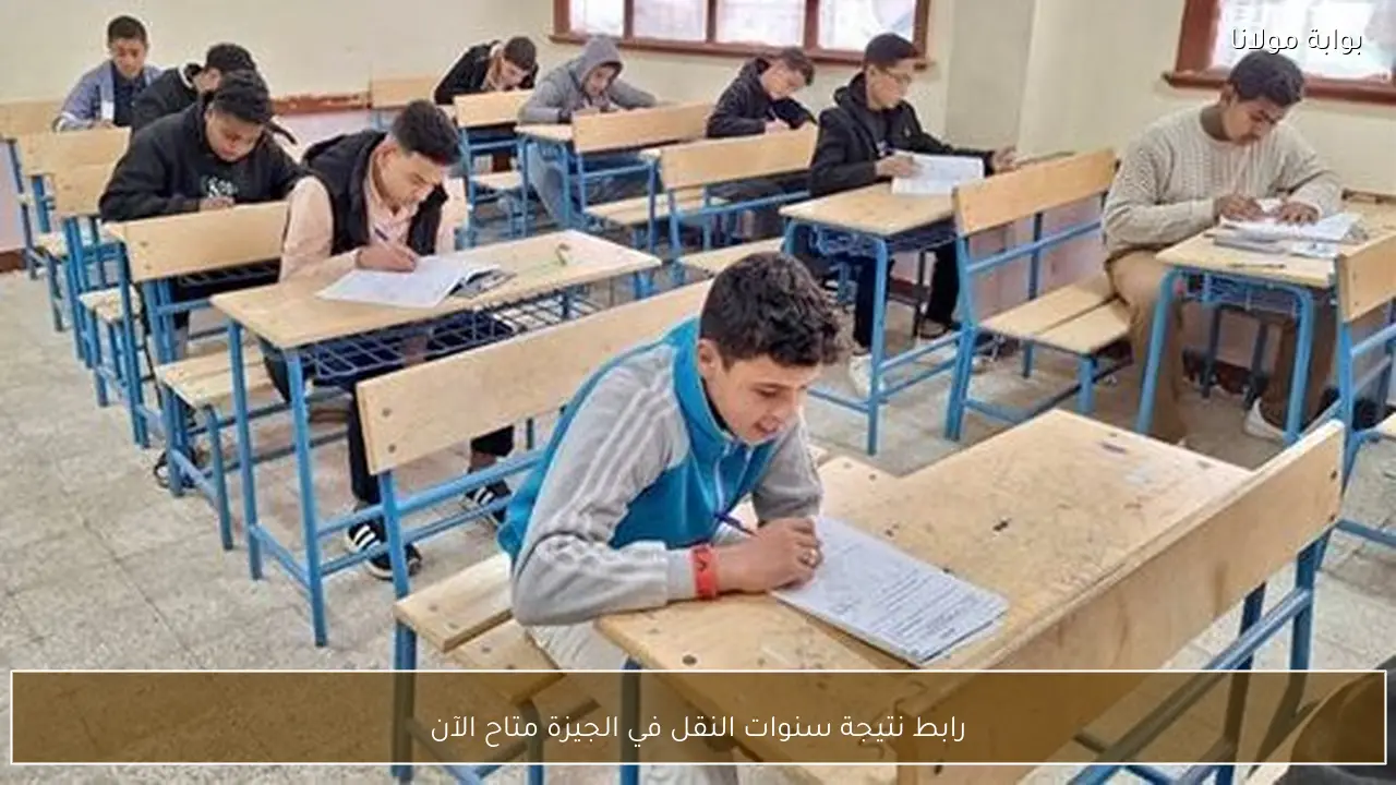 رابط نتيجة سنوات النقل في الجيزة متاح الآن