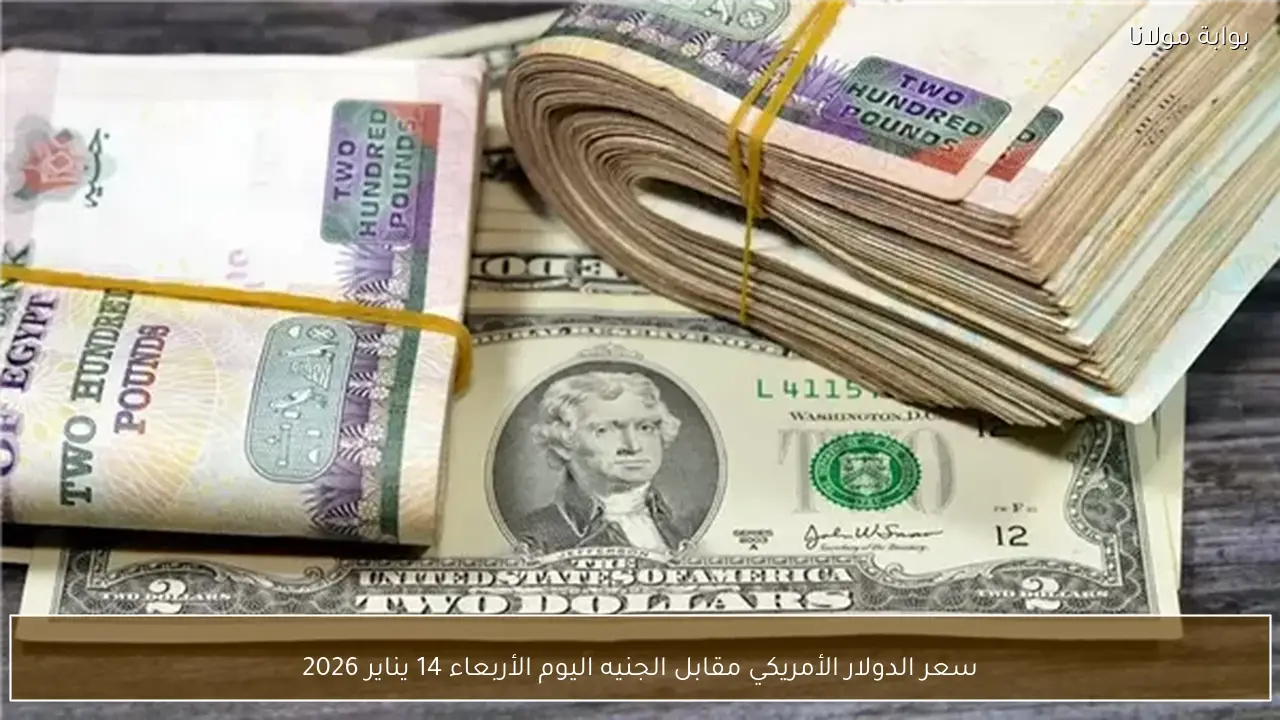 سعر الدولار الأمريكي مقابل الجنيه اليوم الأربعاء 14 يناير 2026