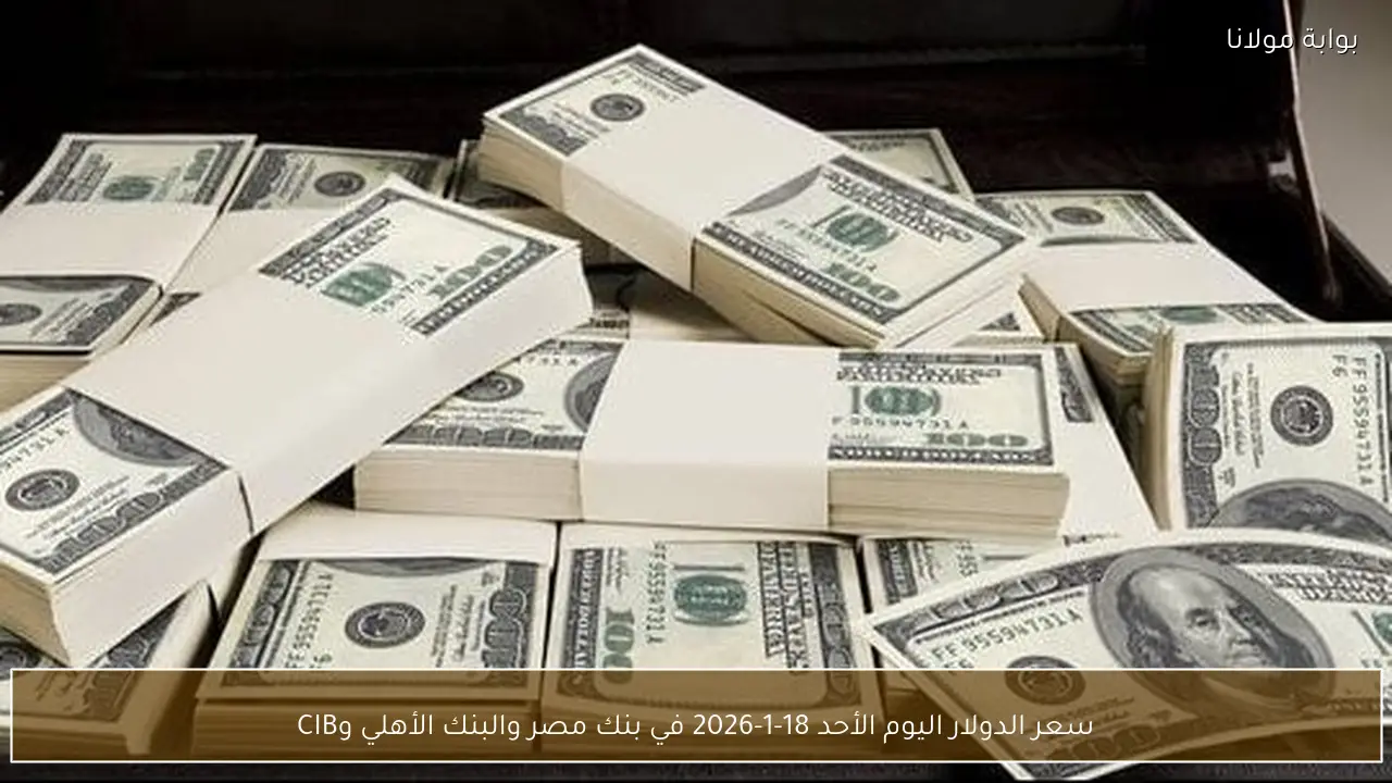 سعر الدولار اليوم الأحد 18-1-2026 في بنك مصر والبنك الأهلي وCIB