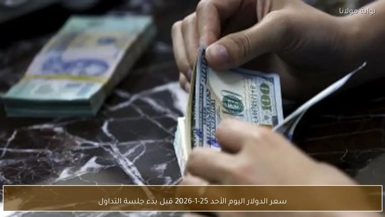 سعر الدولار اليوم الأحد 25-1-2026 قبل بدء جلسة التداول
