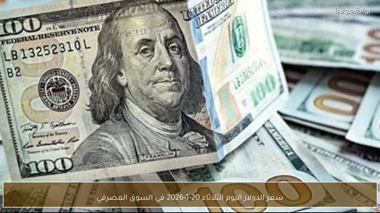 سعر الدولار اليوم الثلاثاء 20-1-2026 في السوق المصرفي