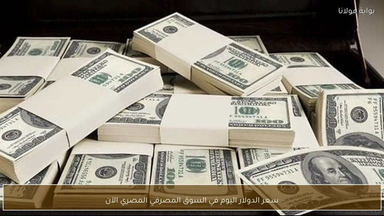 سعر الدولار اليوم في السوق المصرفي المصري الآن