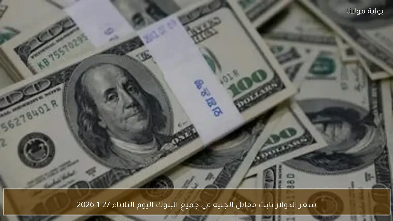 سعر الدولار ثابت مقابل الجنيه في جميع البنوك اليوم الثلاثاء 27-1-2026