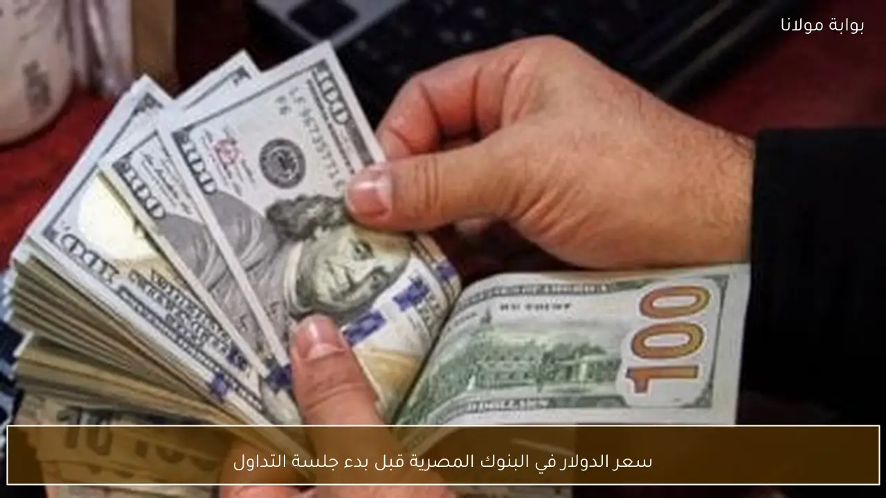 سعر الدولار في البنوك المصرية قبل بدء جلسة التداول