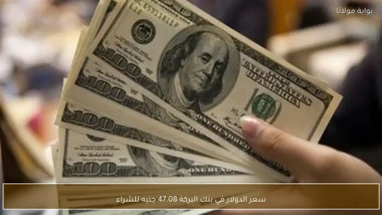 سعر الدولار في بنك البركة 47.08 جنيه للشراء