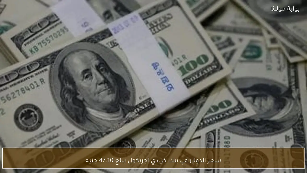 سعر الدولار في بنك كريدي أجريكول يبلغ 47.10 جنيه