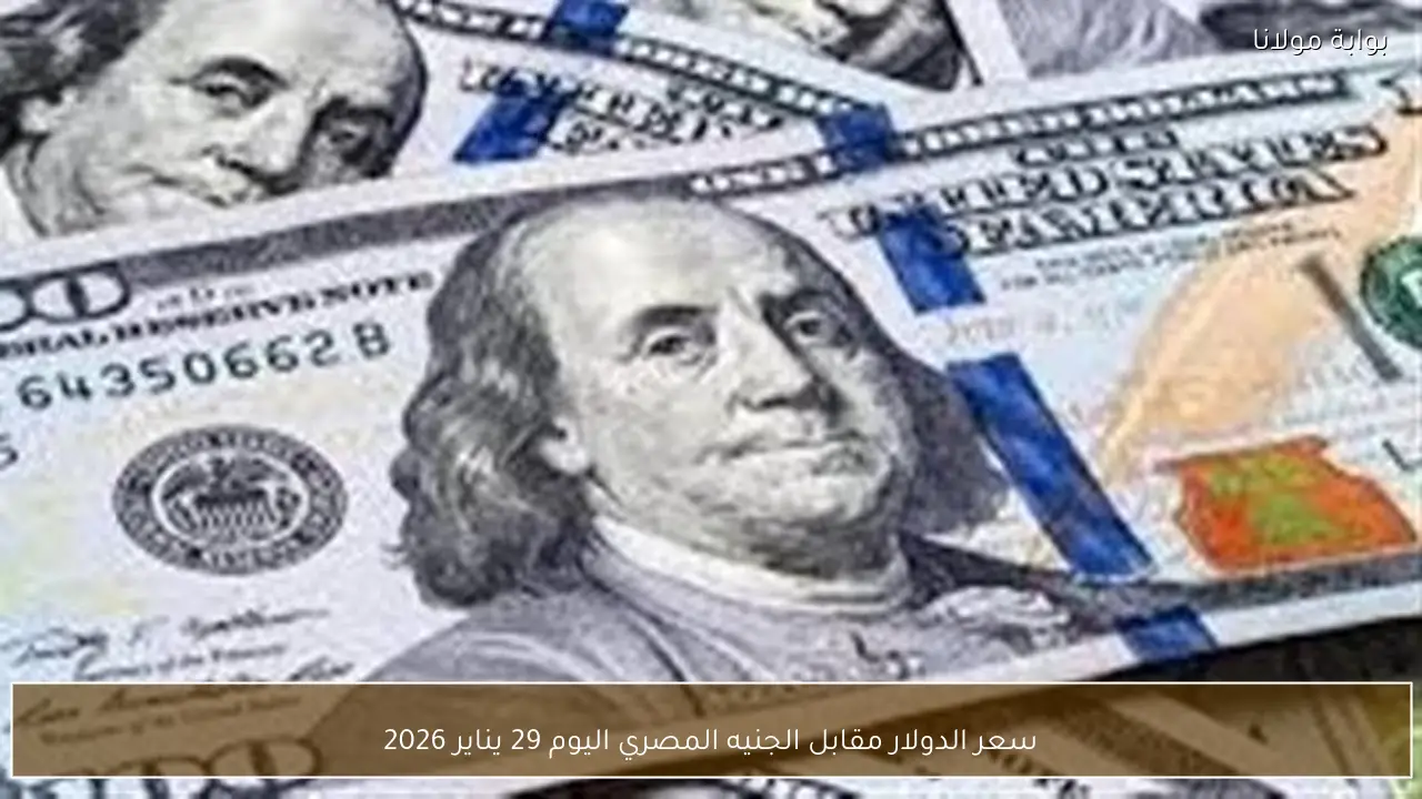 سعر الدولار مقابل الجنيه المصري اليوم 29 يناير 2026